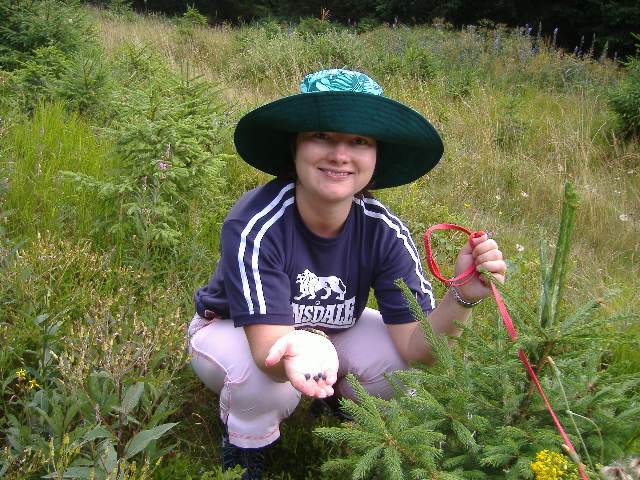 17_zejmena_tyto_boruvky