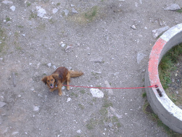 21_z_ptaci_perspektivy