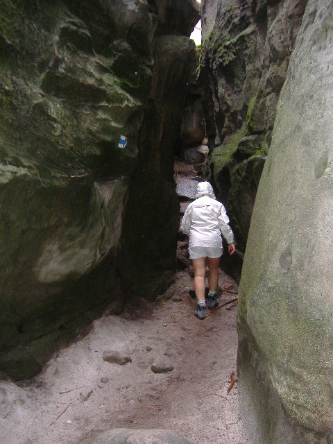 34_Ostas_skalnibludiste