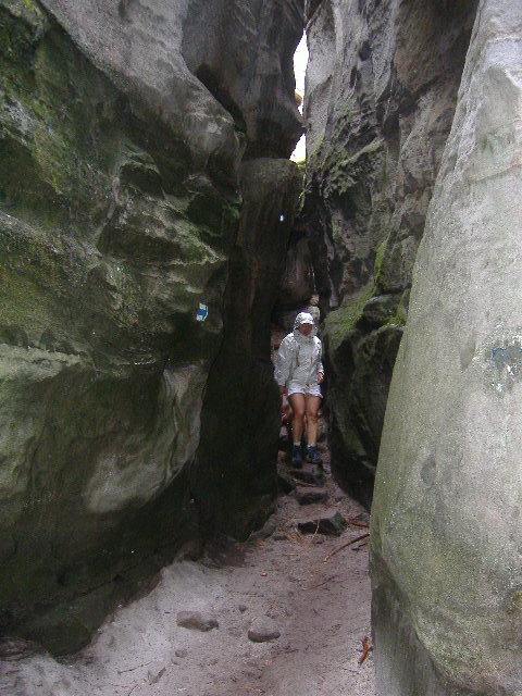 35_Ostas_skalnibludiste