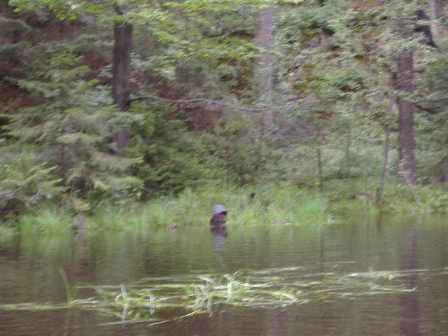 55_rozhejbanej_cesilko