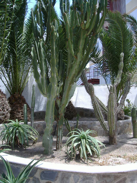 64_to_taky_nekdo_ma_doma