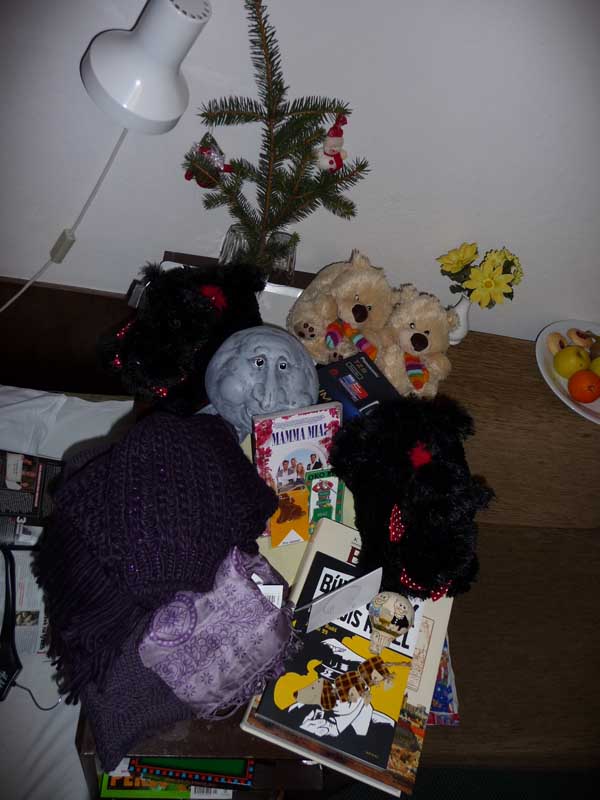 12-RozbalenyStromecek